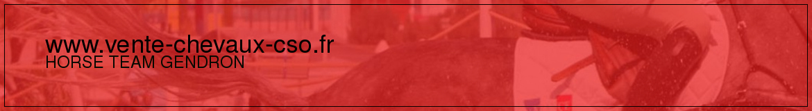 www.vente-chevaux-cso.fr